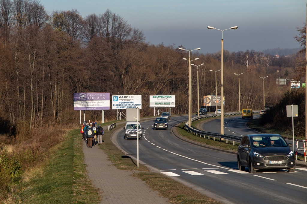 Droga z Bielska-Białej do Pszczyny