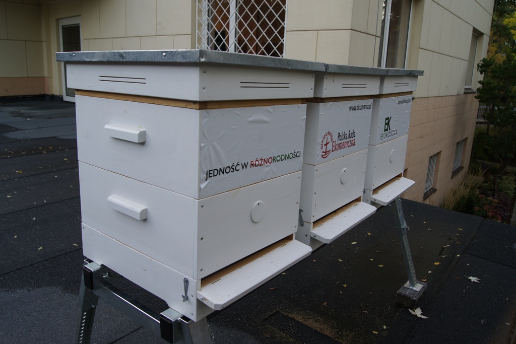 Ule na tarasie siedziby PRE