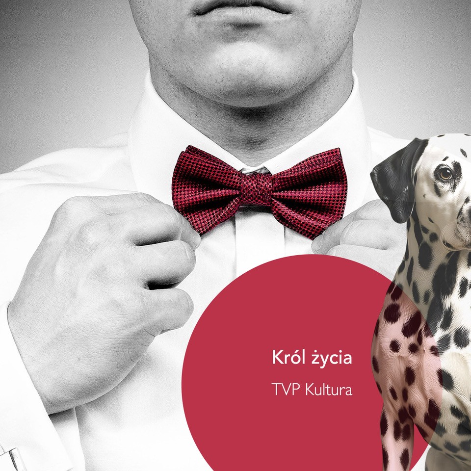 Król życia